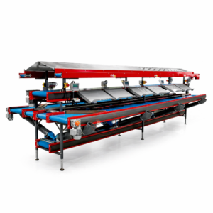 Multi Belt Conveyor